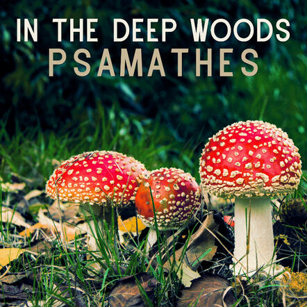 In The Deep Woods (From "Stardew Valley") In The Deep Woods (From "Stardew Valley")