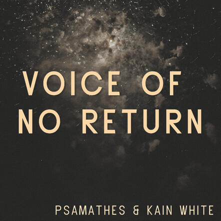 NieR Voice of No Return NieR Voice of No Return