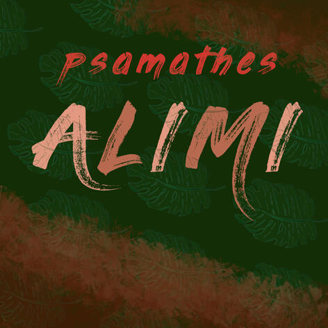 alimi alimi